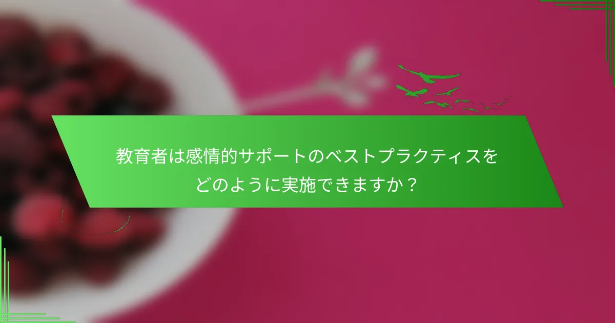 教育者は感情的サポートのベストプラクティスをどのように実施できますか？