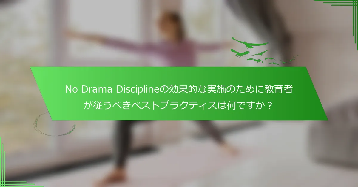 No Drama Disciplineの効果的な実施のために教育者が従うべきベストプラクティスは何ですか？