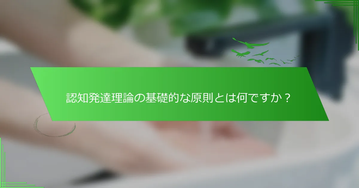 認知発達理論の基礎的な原則とは何ですか？