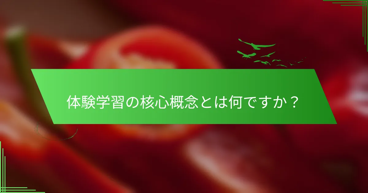 体験学習の核心概念とは何ですか？