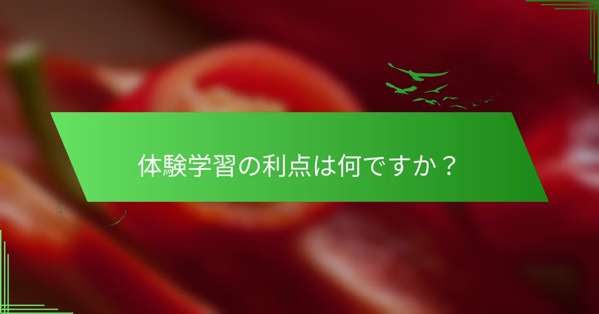 体験学習の利点は何ですか？