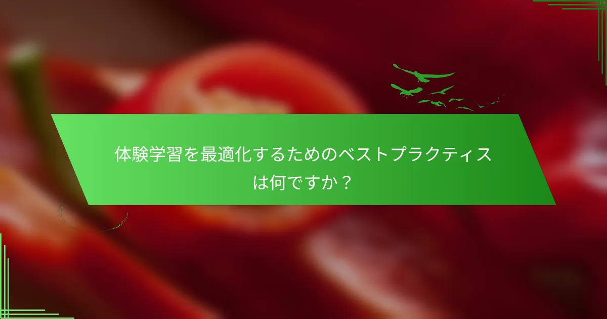 体験学習を最適化するためのベストプラクティスは何ですか？