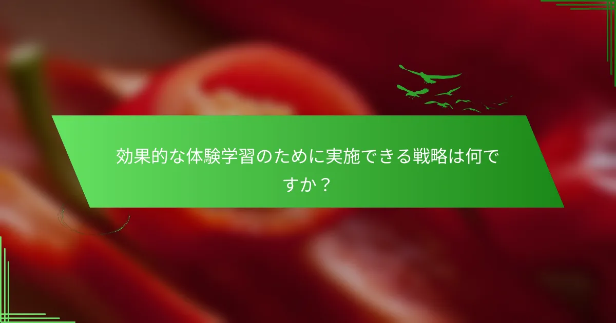 効果的な体験学習のために実施できる戦略は何ですか？